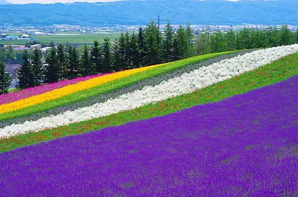 Furusato Furano Guest House Japan